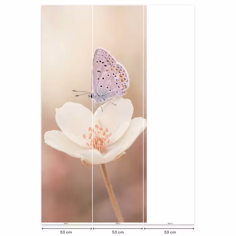 Behang - Vlinder - Bloem - Blauw — 6