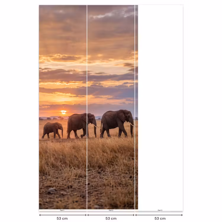 Behang - Olifanten - Savanne - Zonsondergang - Afrika - Warm — 6