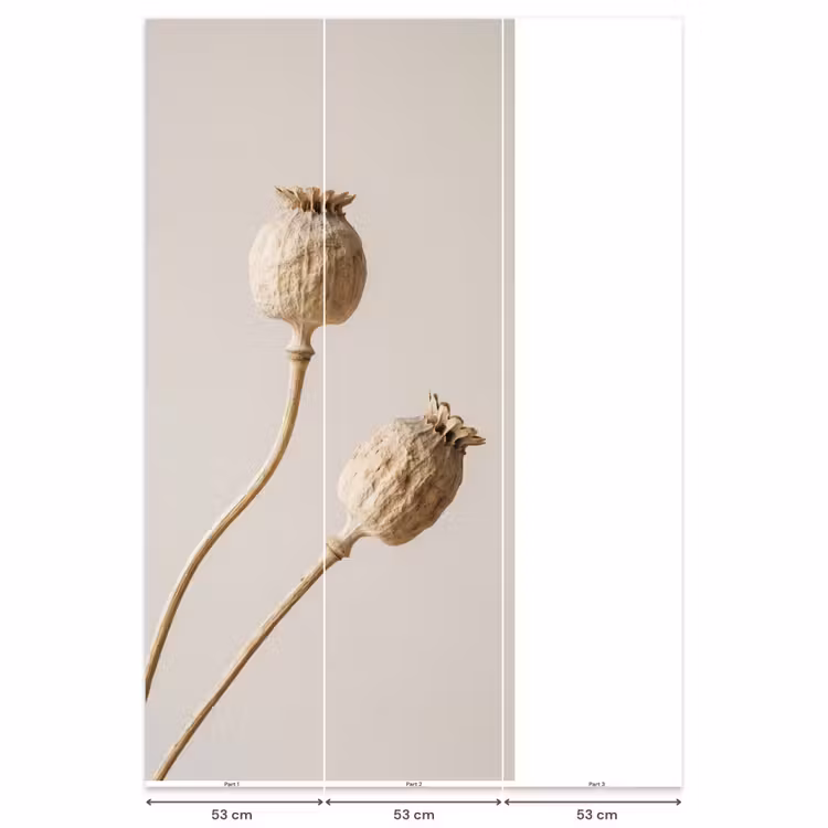 Behang - Papaverbollen - Droogbloemen - Minimalistisch - Beige - Rustig — 6