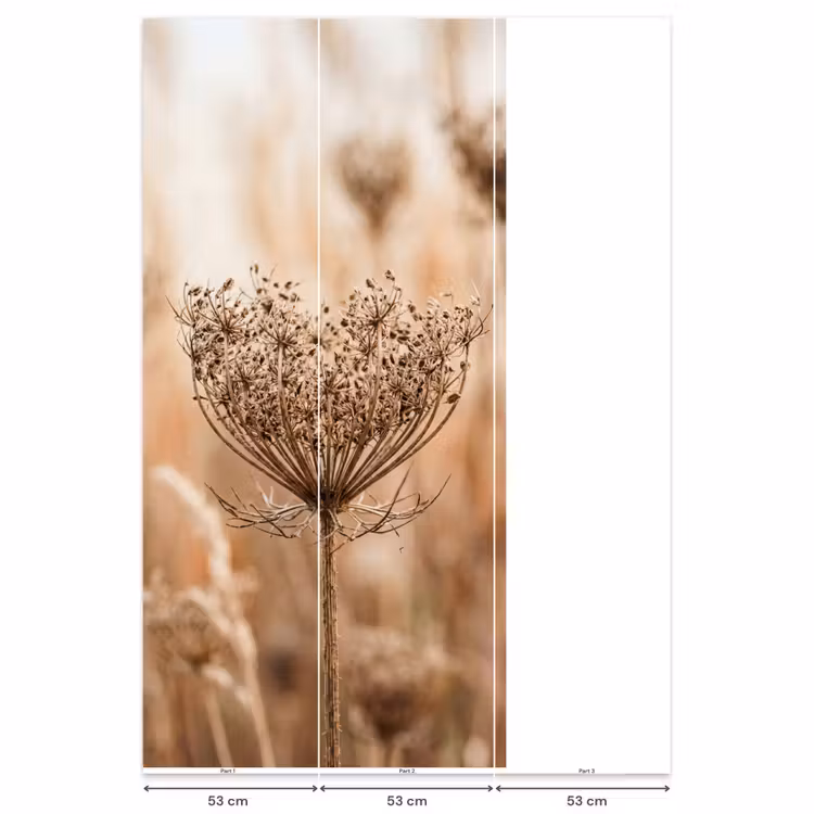 Behang - Schermbloem - Droogbloem - Winter - Beige - Minimalistisch — 6