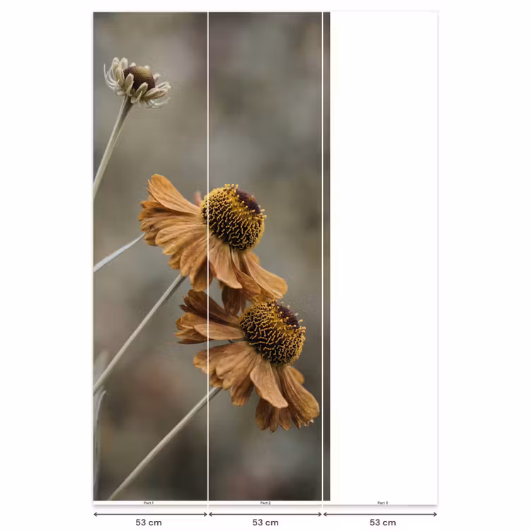 Behang - Zonnehoed - Droogbloemen - Geel - Warm — 6