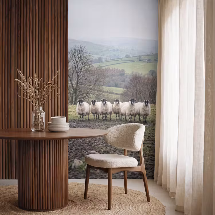 Behang - Schapen - Rij - Weide - Dieren - Platteland — 4