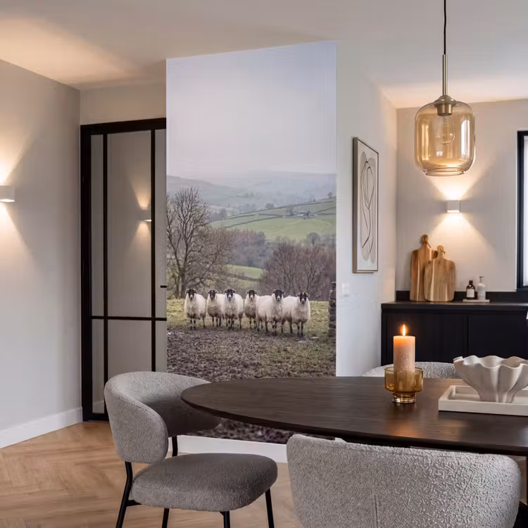 Behang - Schapen - Rij - Weide - Dieren - Platteland — 5