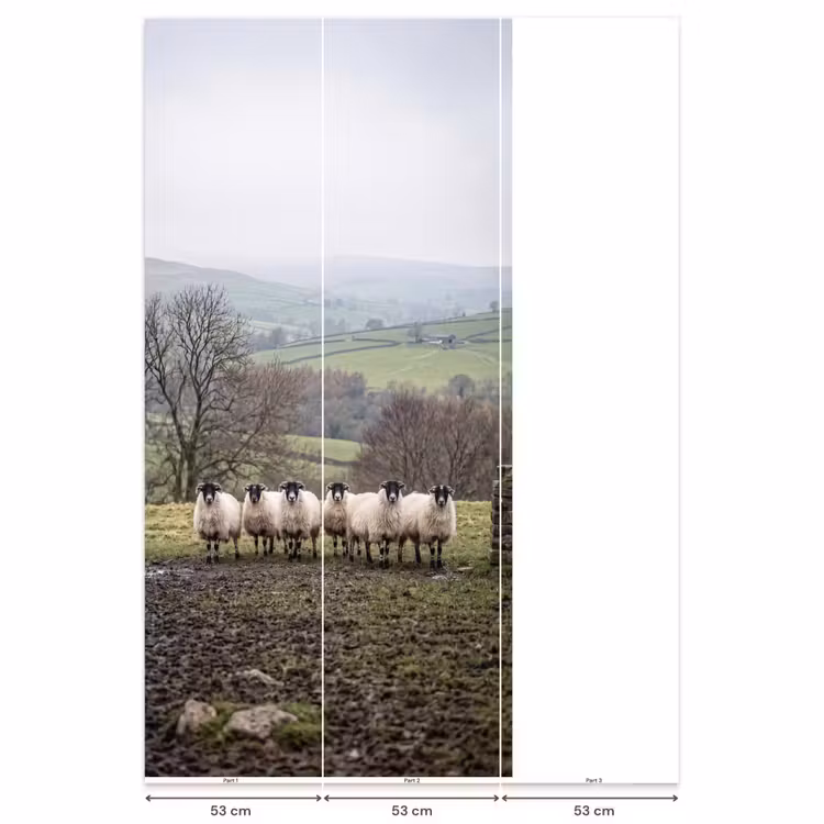 Behang - Schapen - Rij - Weide - Dieren - Platteland — 6