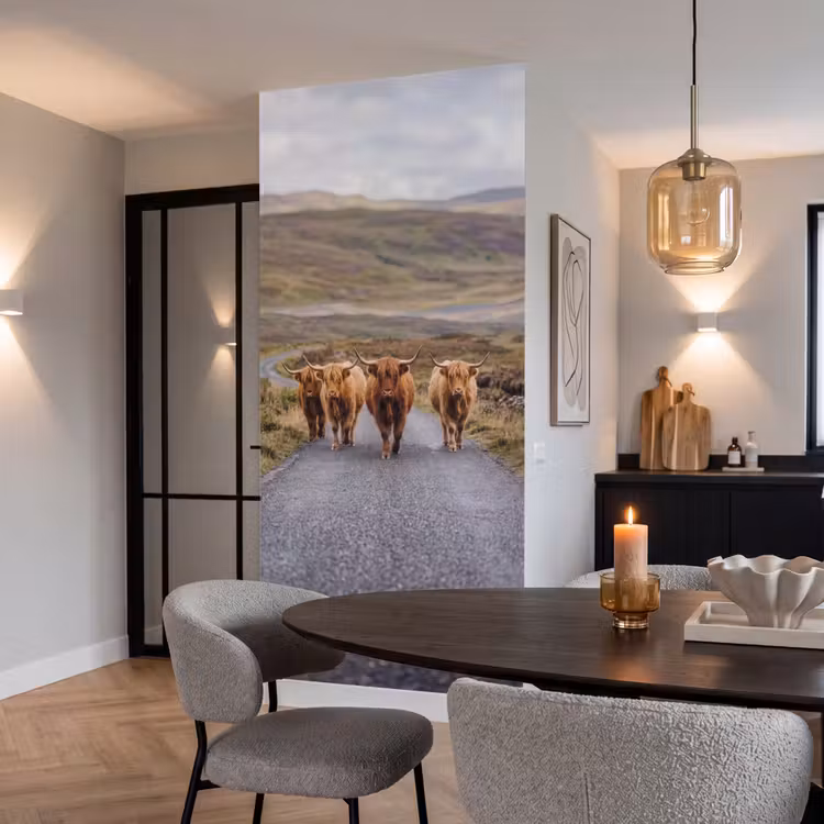 Behang - Schotse Hooglanders - Weg - Landschap - Kudde — 5