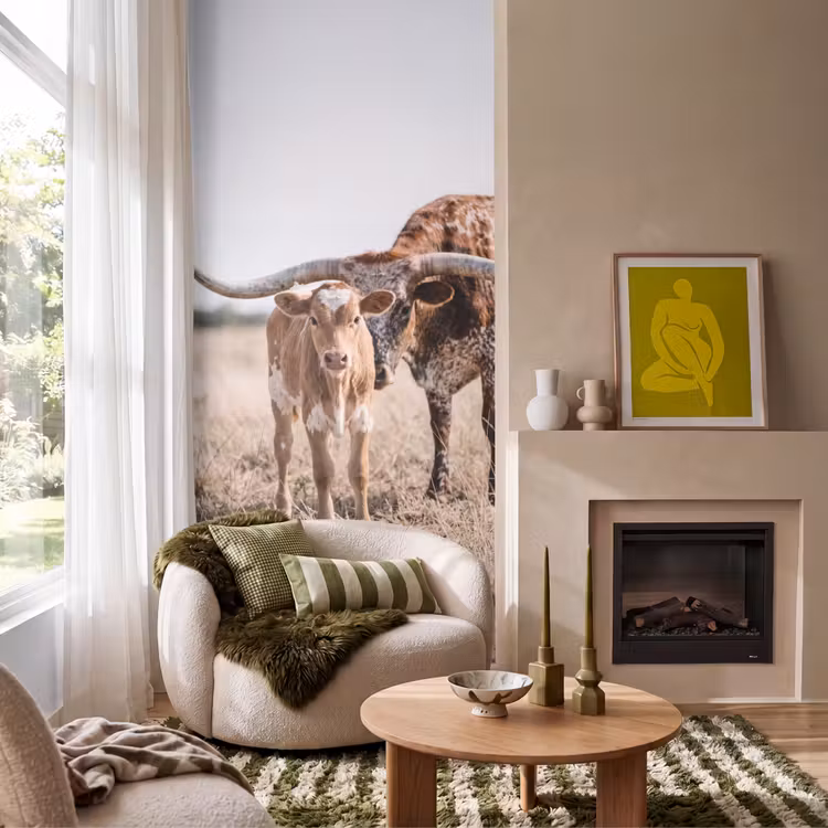 Behang - Texas Longhorn - Kalf - Weide - Dieren — 1