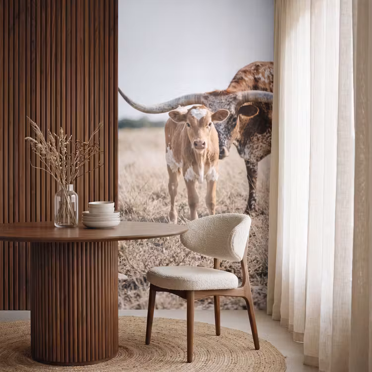 Behang - Texas Longhorn - Kalf - Weide - Dieren — 4