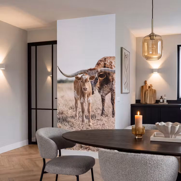 Behang - Texas Longhorn - Kalf - Weide - Dieren — 5