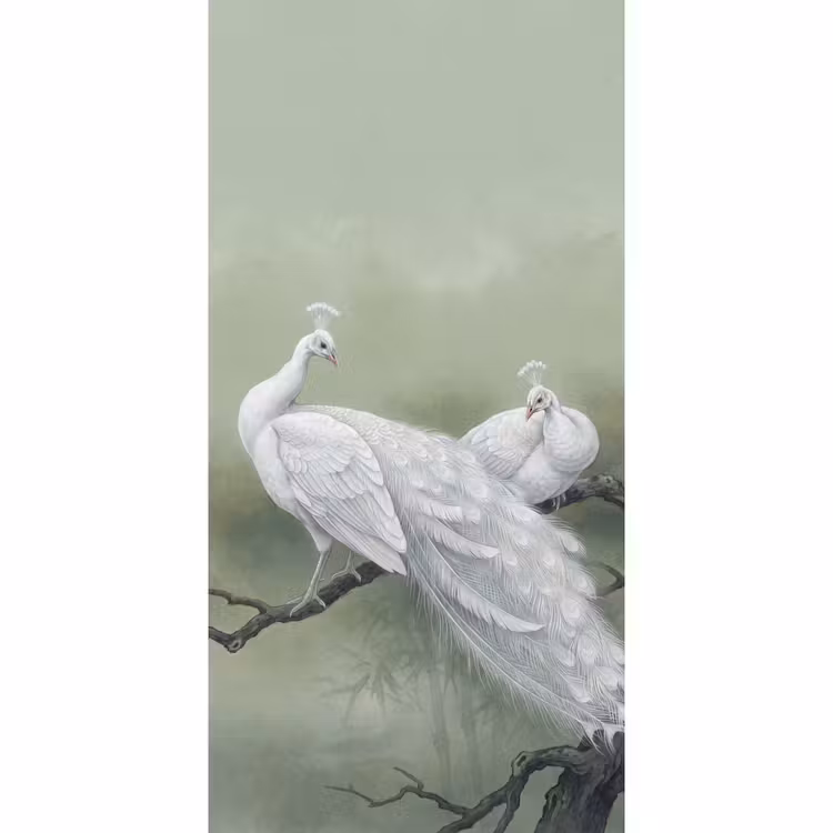Behang - Pauwen - Wit - Natuur - Groen — 2
