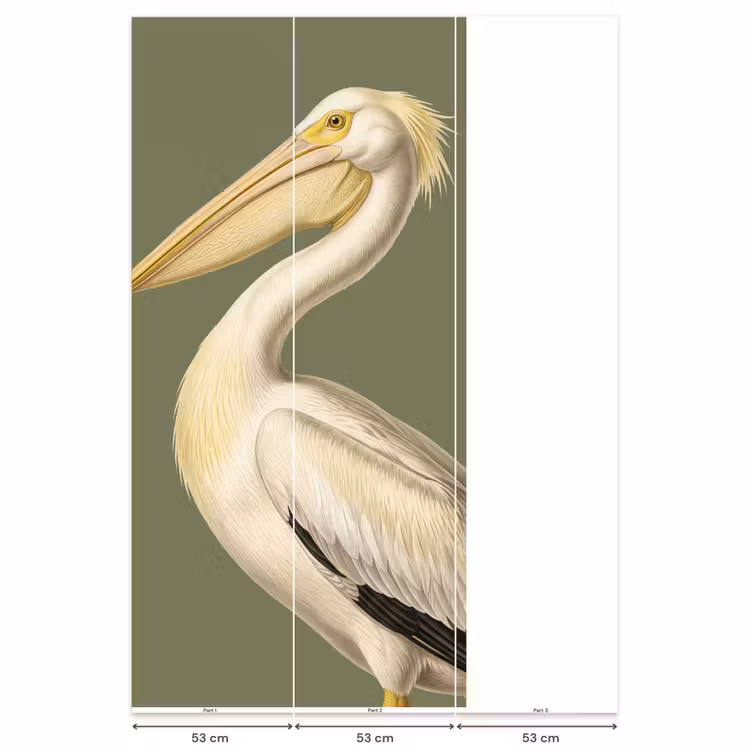 Behang - Pelikaan - Wit - Vogel - Klassiek - Natuur — 6