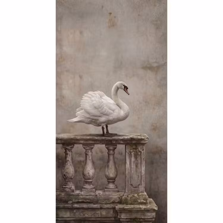 Behang - Zwaan - Elegant - Dieren - Wit — 2