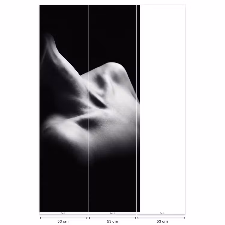 Behang - Lichaam - Vormen - Abstract - Zwart - Wit - Sensueel — 6