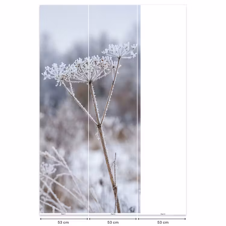 Behang - Schermbloem - Rijp - Kristallen - Winter - Delicaat — 6