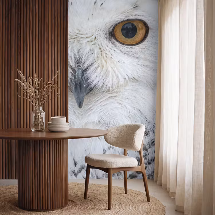 Behang - Sneeuwuil - Oog - Wildlife - Wit — 4