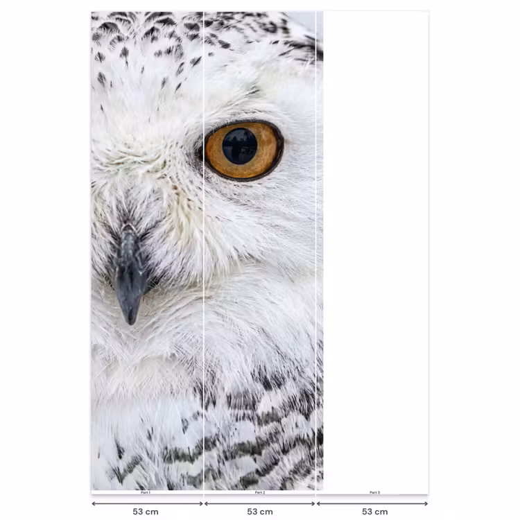 Behang - Sneeuwuil - Oog - Wildlife - Wit — 6