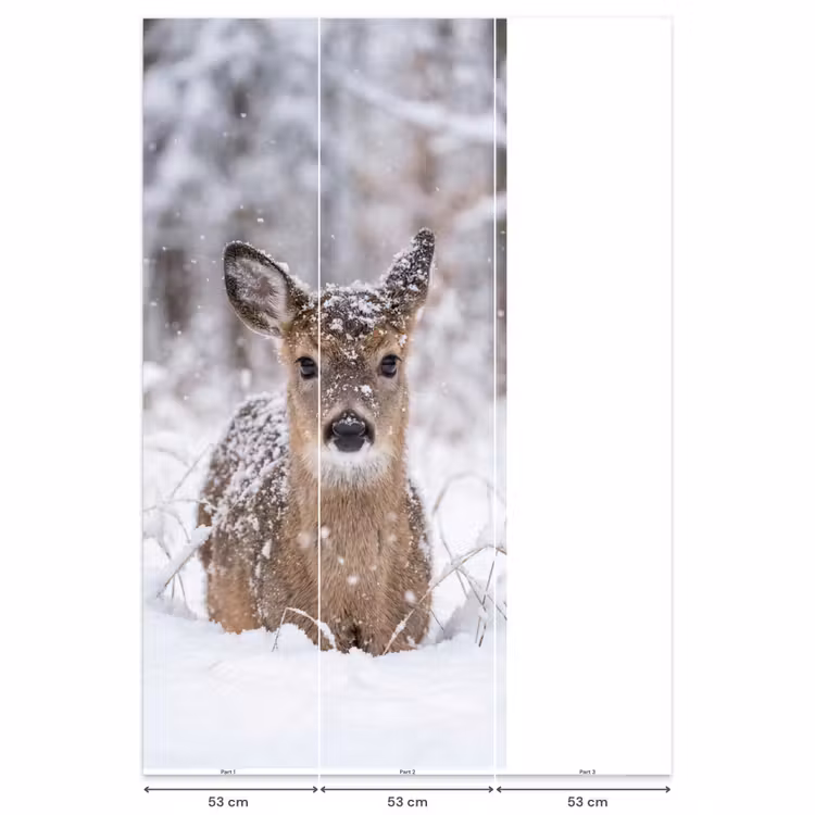Behang - Hert - Sneeuw - Bos - Dieren - Vertederend — 6