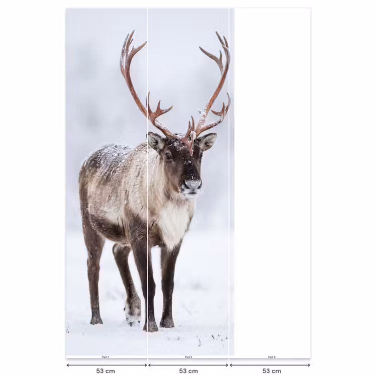 Behang - Rendier - Gewei - Toendra - Sneeuw - Wild — 6