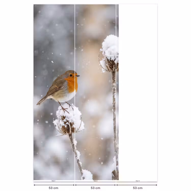 Behang - Roodborstje - Gedroogde bloem - Sneeuw - Winter - Vertederend — 6