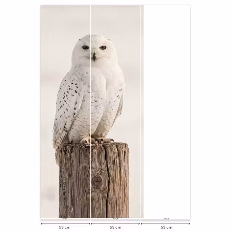 Behang - Sneeuwuil - Paal - Winter - Portret - Majestueus — 6