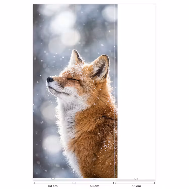 Behang - Vos - Sneeuwval - Portret - Winter - Sfeervol — 6
