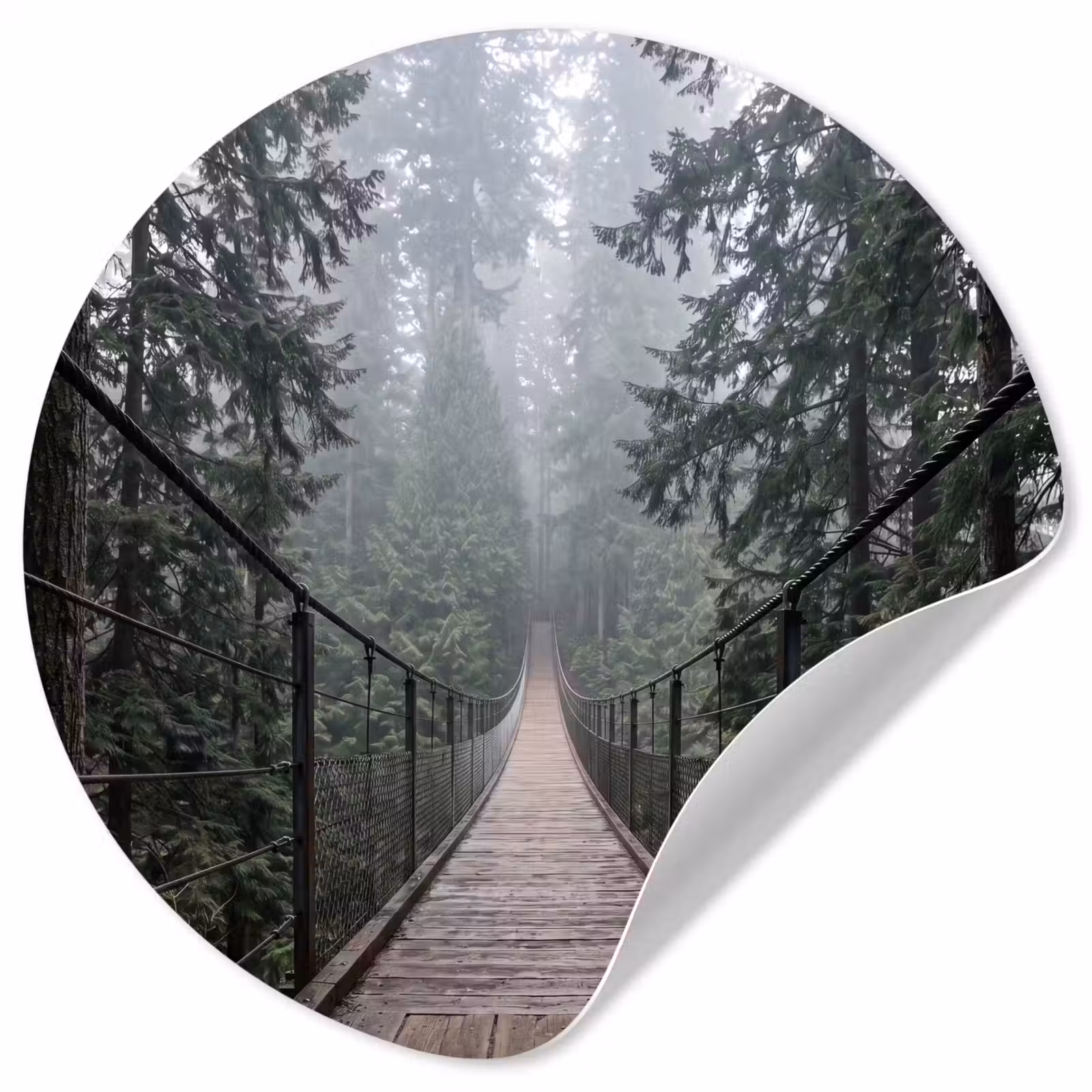 Behangcirkel - Brug - Bos - Mist - Natuur — 1