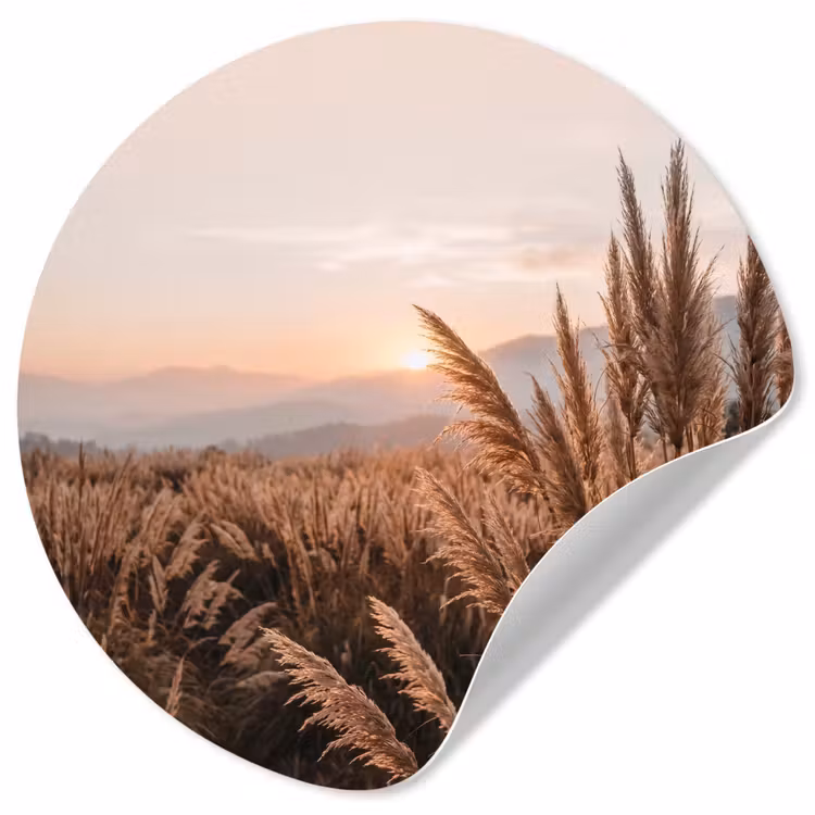 Behangcirkel - Gras - Veld - Zon - Natuur — 1