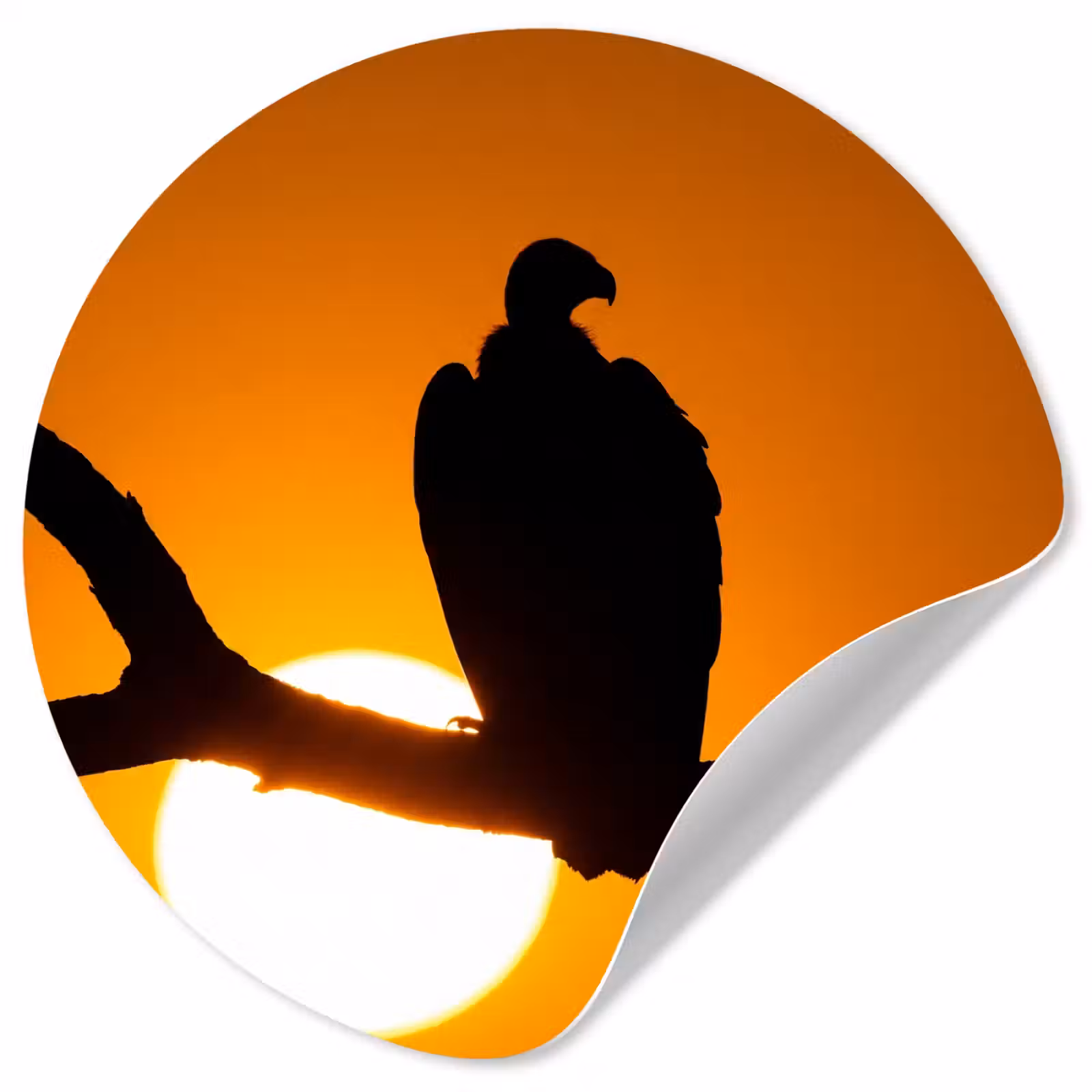 Behangcirkel - Gier - Tak - Zon - Oranje — 1
