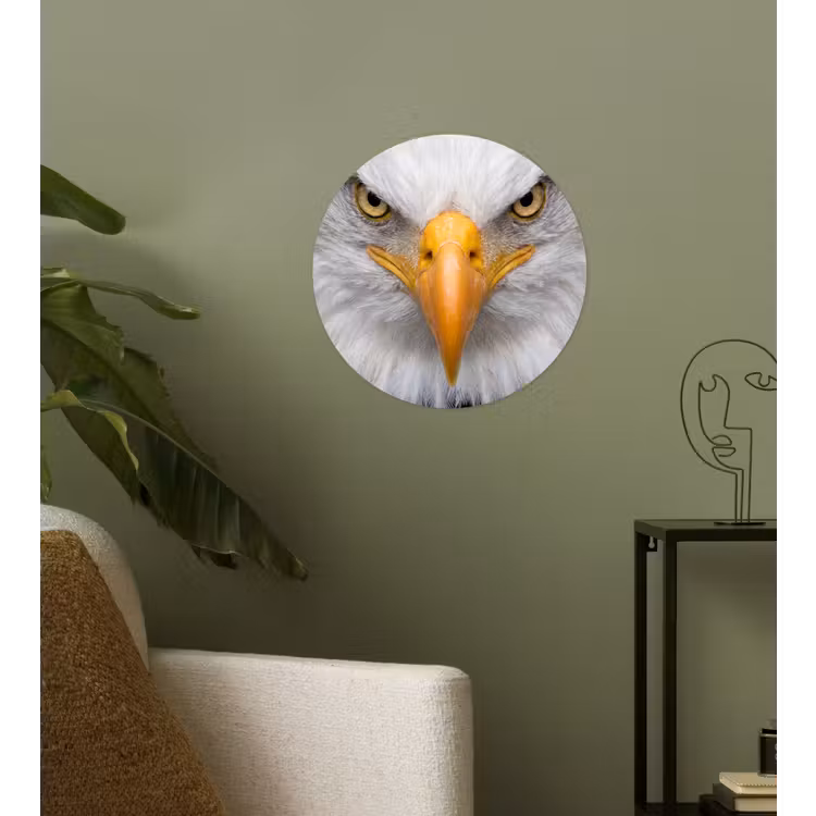 Behangcirkel - Amerikaans - Zeearend - Portret - Geel — 3