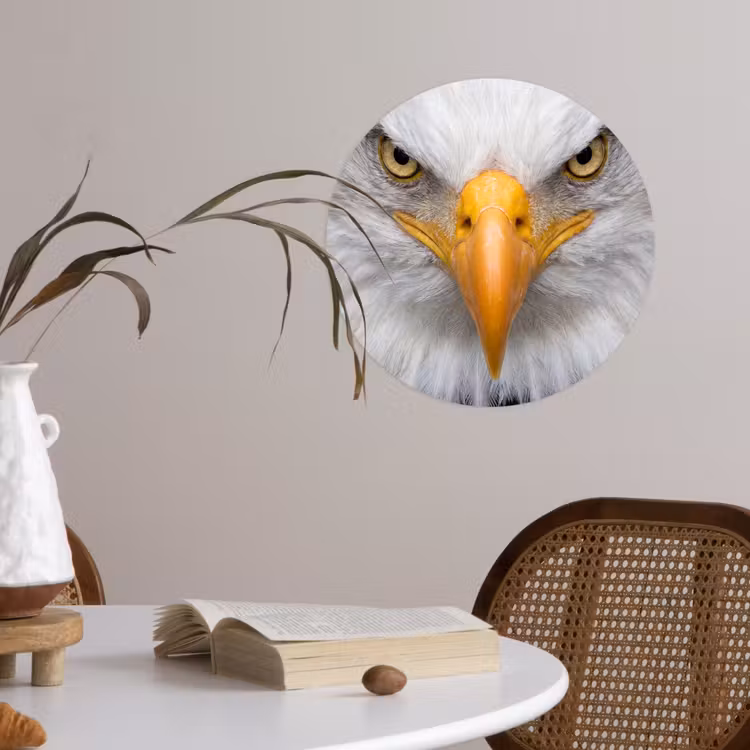 Behangcirkel - Amerikaans - Zeearend - Portret - Geel — 4