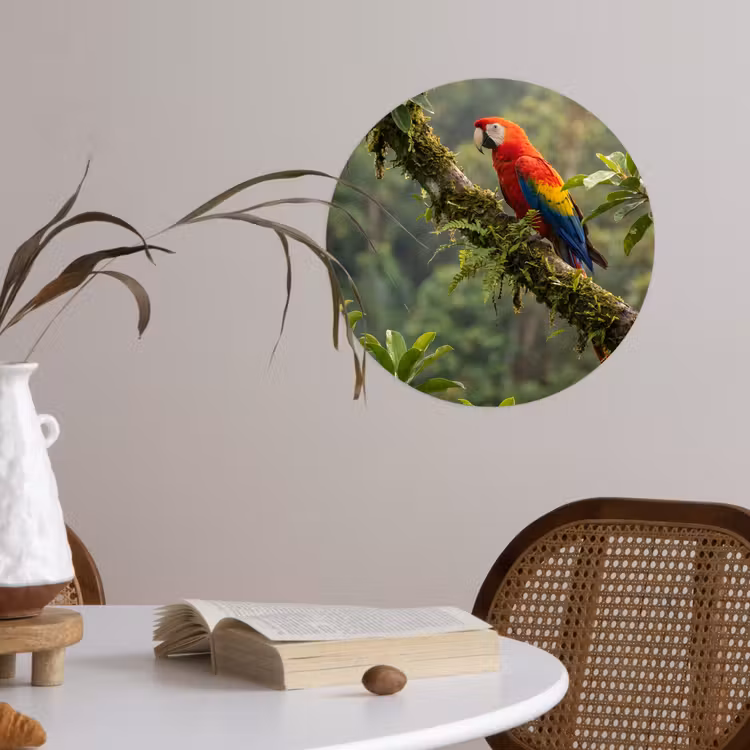 Behangcirkel - Ara - Jungle - Rood — 4