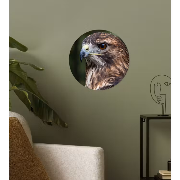 Behangcirkel - Buizerd - Roofvogel - Natuur - Bruin — 3