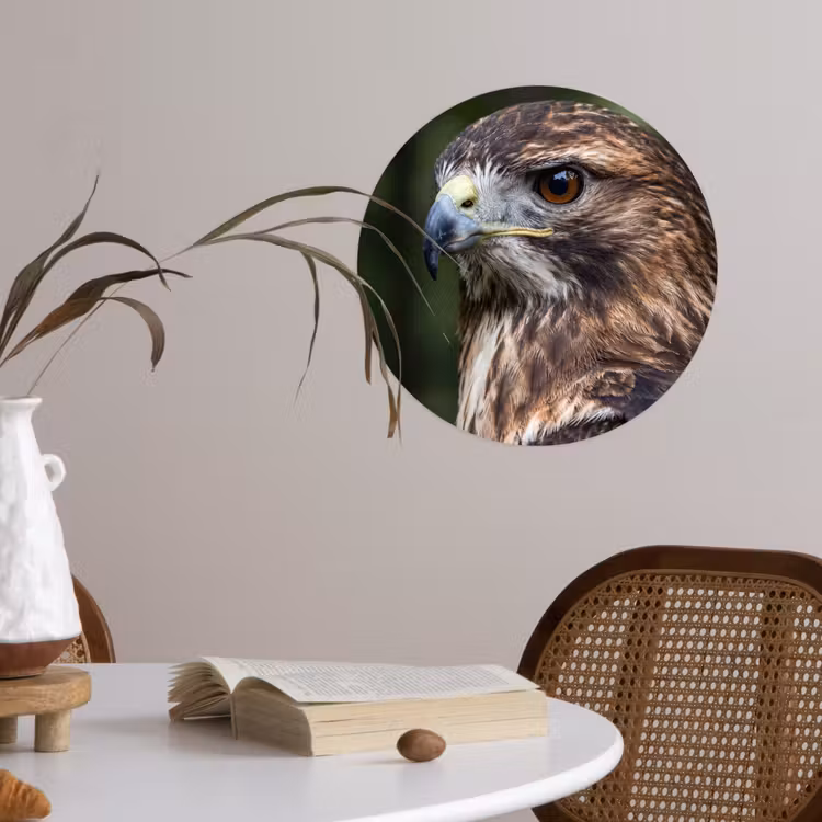 Behangcirkel - Buizerd - Roofvogel - Natuur - Bruin — 4
