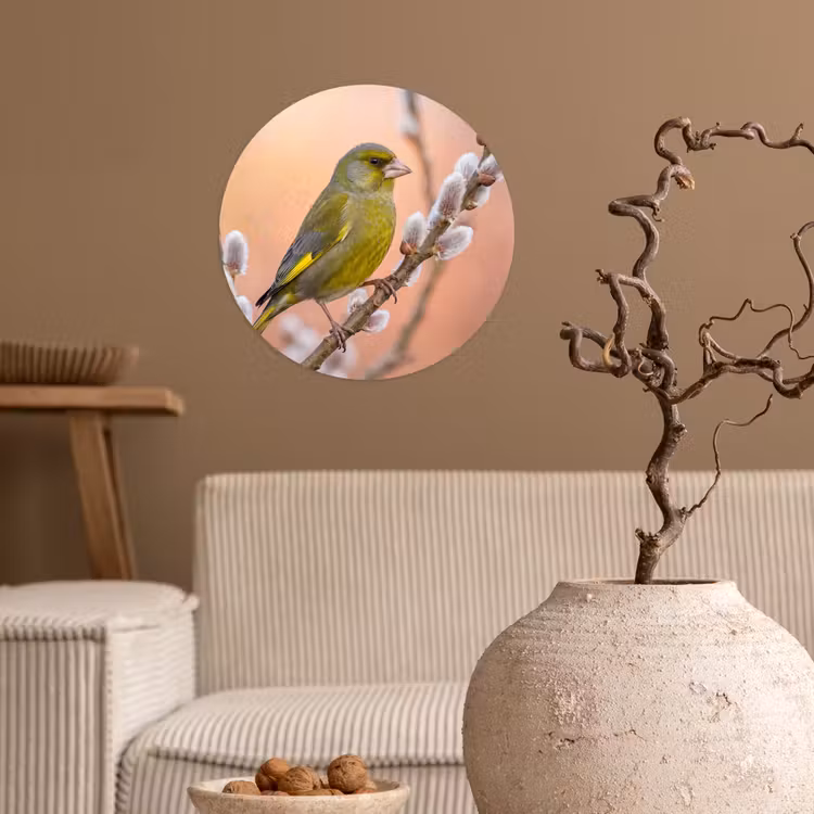 Behangcirkel - Groenling - Katjes - Lente - Natuur - Zacht — 2