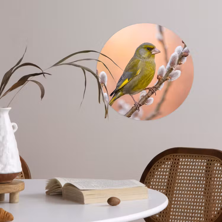 Behangcirkel - Groenling - Katjes - Lente - Natuur - Zacht — 4