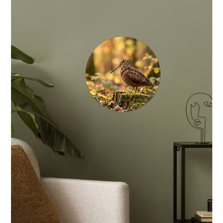 Behangcirkel - Houtsnip - Bos - Bladeren - Herfst - Gecamoufleerd — 3