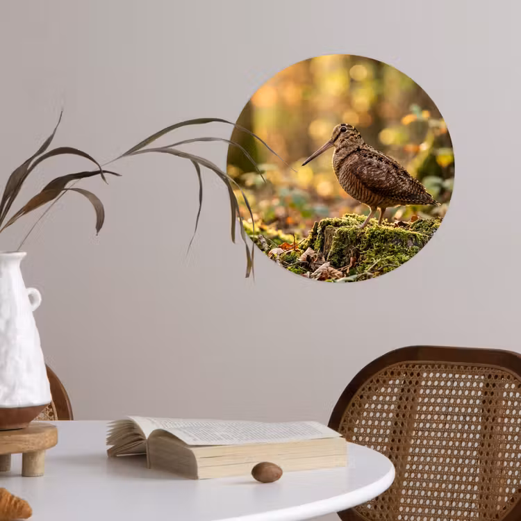 Behangcirkel - Houtsnip - Bos - Bladeren - Herfst - Gecamoufleerd — 4