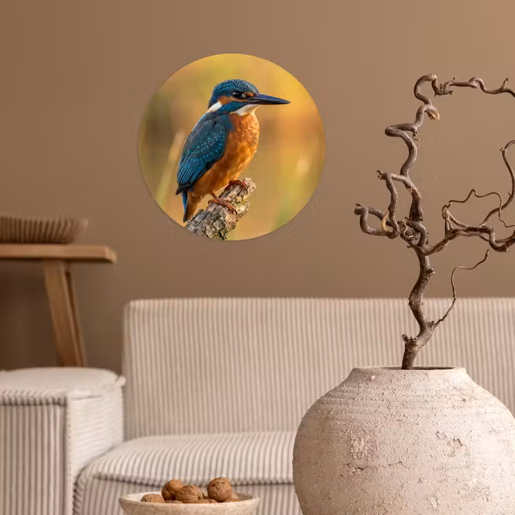 Behangcirkel - IJsvogel - Tak - Water - Kleurrijk - Levendig — 2