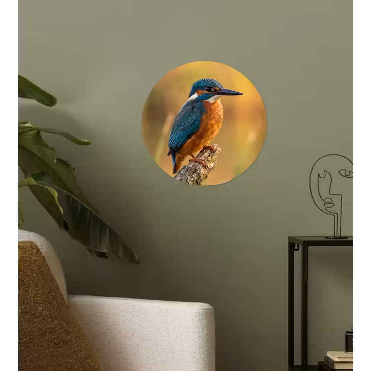 Behangcirkel - IJsvogel - Tak - Water - Kleurrijk - Levendig — 3