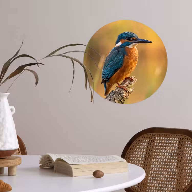 Behangcirkel - IJsvogel - Tak - Water - Kleurrijk - Levendig — 4