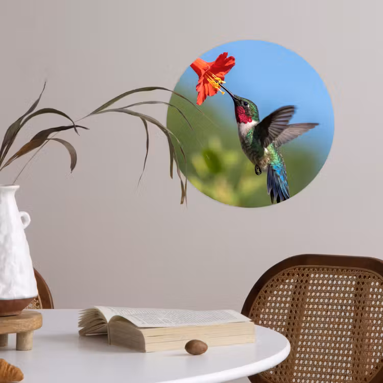 Behangcirkel - Kolibrie - Bloem - Natuur - Groen — 4