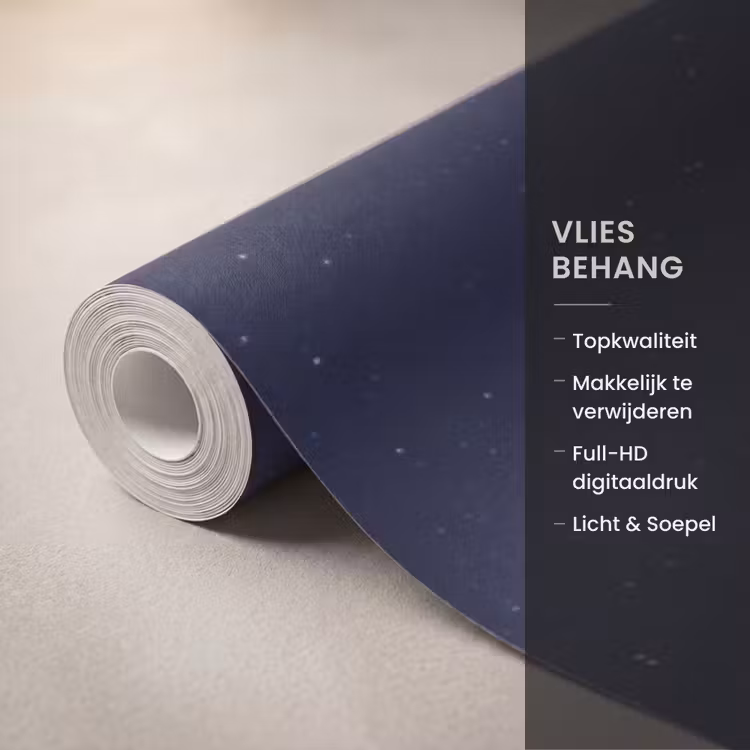 Behang - Ruimte - Maan - Kosmos — 3