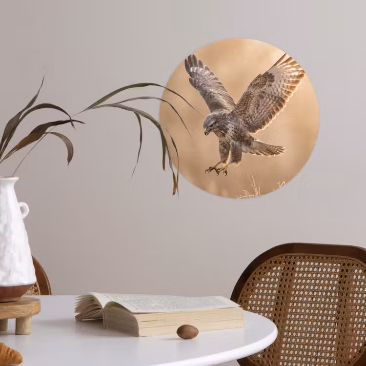 Behangcirkel - Buizerd - Roofvogel - Natuur - Bruin — 4