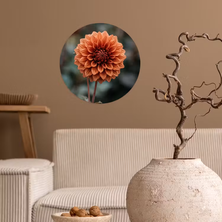 Behangcirkel - Dahlia - Bloem - Natuur - Sfeervol — 2