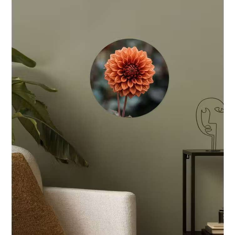 Behangcirkel - Dahlia - Bloem - Natuur - Sfeervol — 3