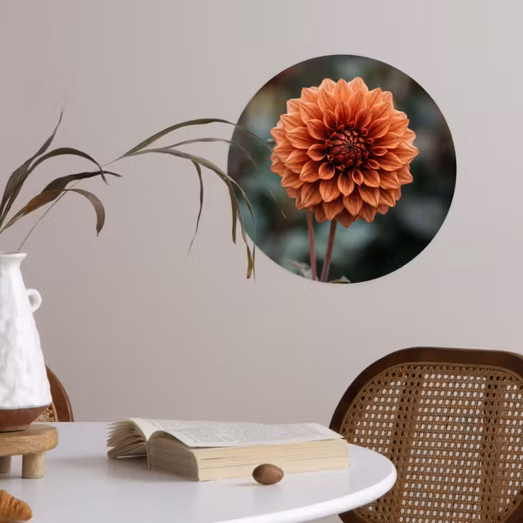 Behangcirkel - Dahlia - Bloem - Natuur - Sfeervol — 4