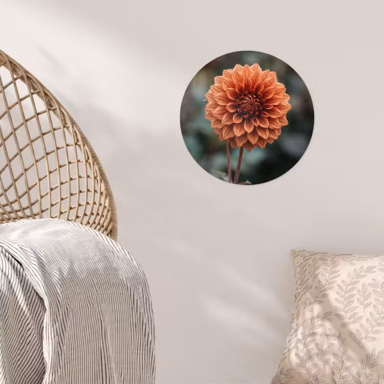 Behangcirkel - Dahlia - Bloem - Natuur - Sfeervol — 5