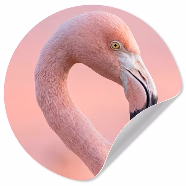 Behangcirkel - Flamingo - Portret - Roze — 1