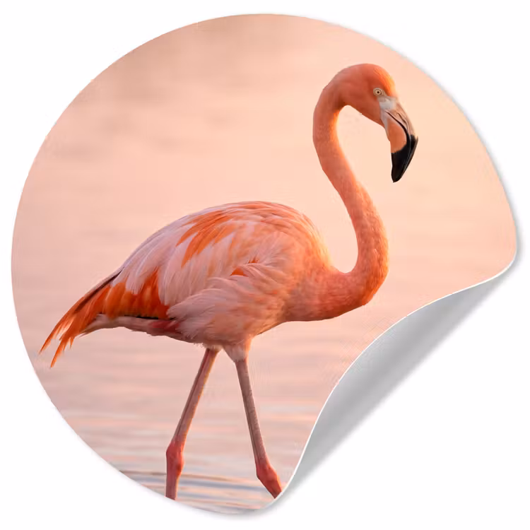 Behangcirkel - Flamingo - Water - Roze — 1