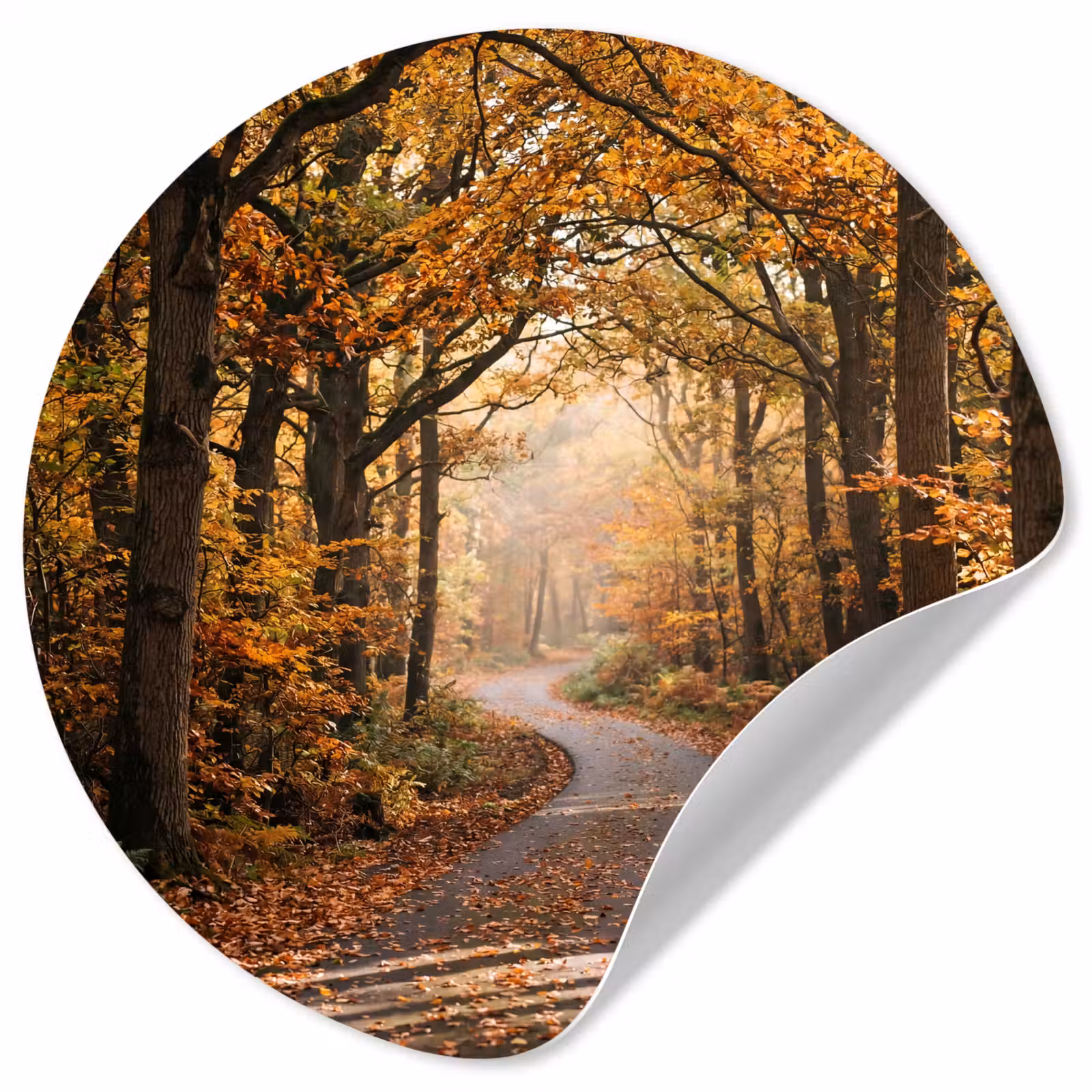 Behangcirkel - Bospad - Herfstbos - Bladeren - Oranje - Nostalgisch — 1