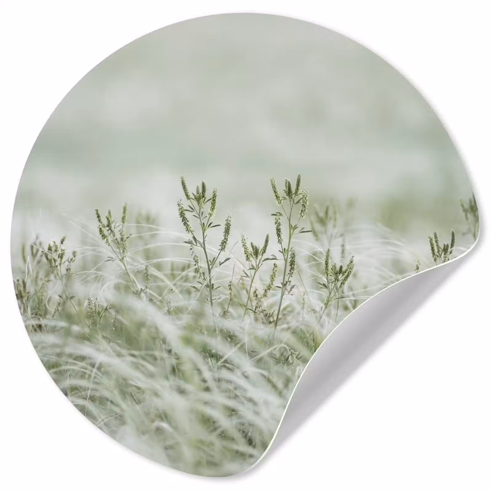 Behangcirkel - Grassen - Minimalistisch - Groen — 1